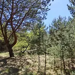 Chalet Good Place Nad Jeziorem Bialym Gostynin