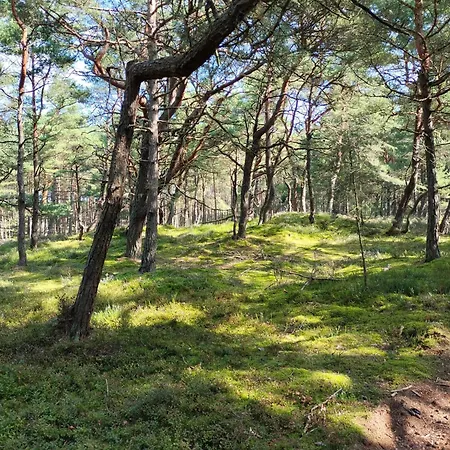 Good Place Nad Jeziorem Bialym Σαλέ
