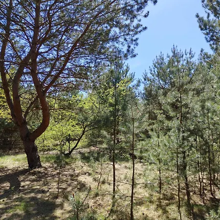 Σαλέ Good Place Nad Jeziorem Bialym Gostynin
