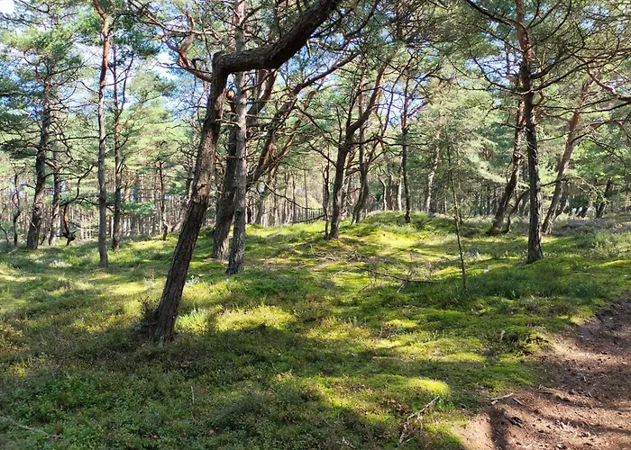 Good Place Nad Jeziorem Bialym Horská chata